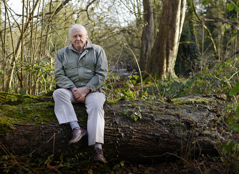 David Attenborough My Wild Life