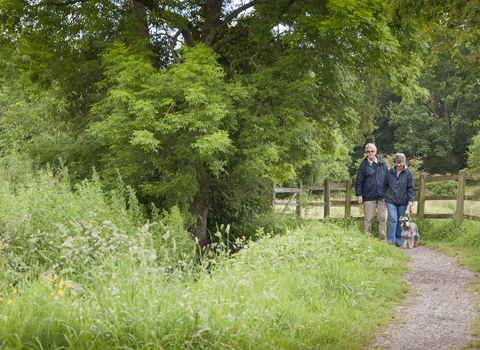 Walkers in Smallbrook Meadow