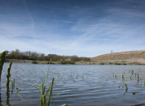 Swindon Lagoons