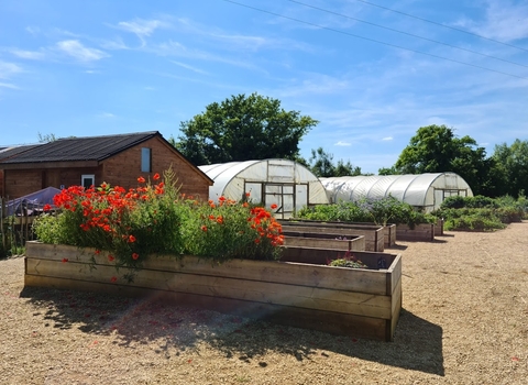 Care Farm on a sunny day