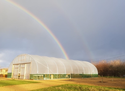 The Willows Care Farm