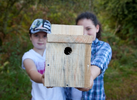 Two young people with a homemade nest box
