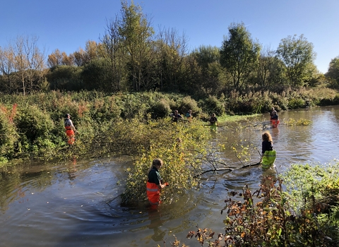 Volunteers in a river