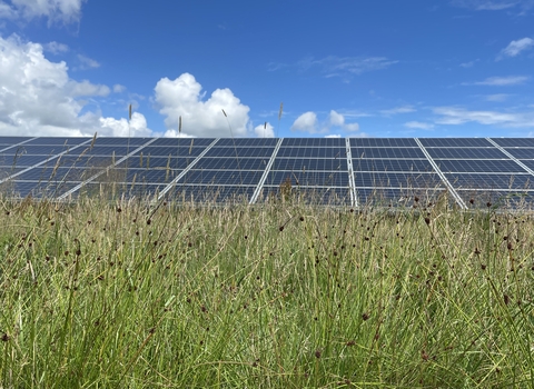 Braydon solar farm
