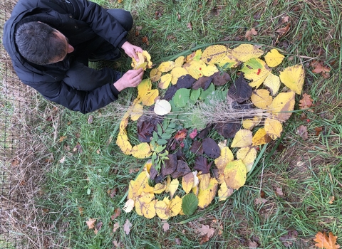 Leaves in the shape of a heart