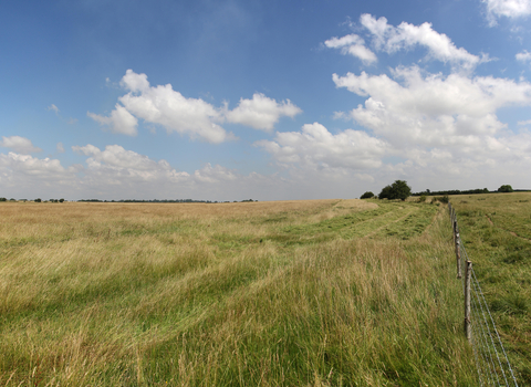 Blakehill hay making