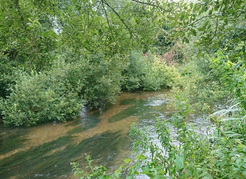 River Wylye