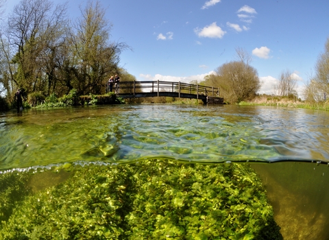 Chalk stream