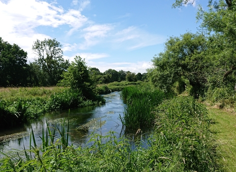 Wylye River