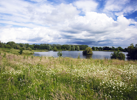 Lower Moor Farm Meadow and Lake