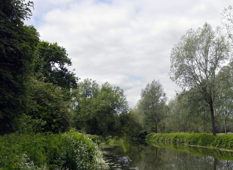 Widbrook Woods Landscape Scene with River 