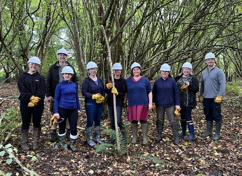 A group of 9 volunteers stand in the woodland with hard hats and gloves
