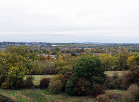 View of town across autumnal trees