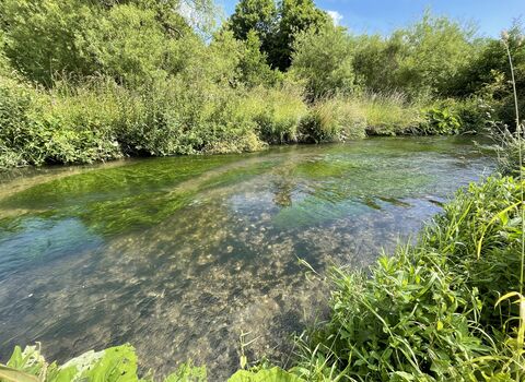 River Wylye and riverbank