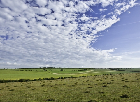 Wiltshire countryside