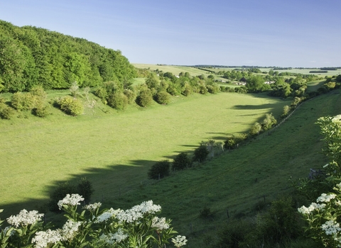 Coombe Bissett