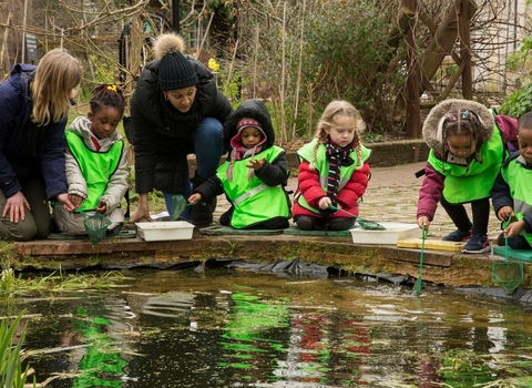 Children pond dipping