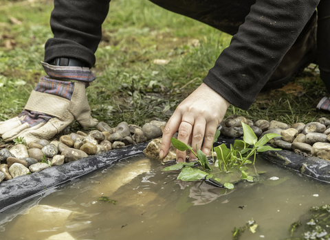 Pond creation